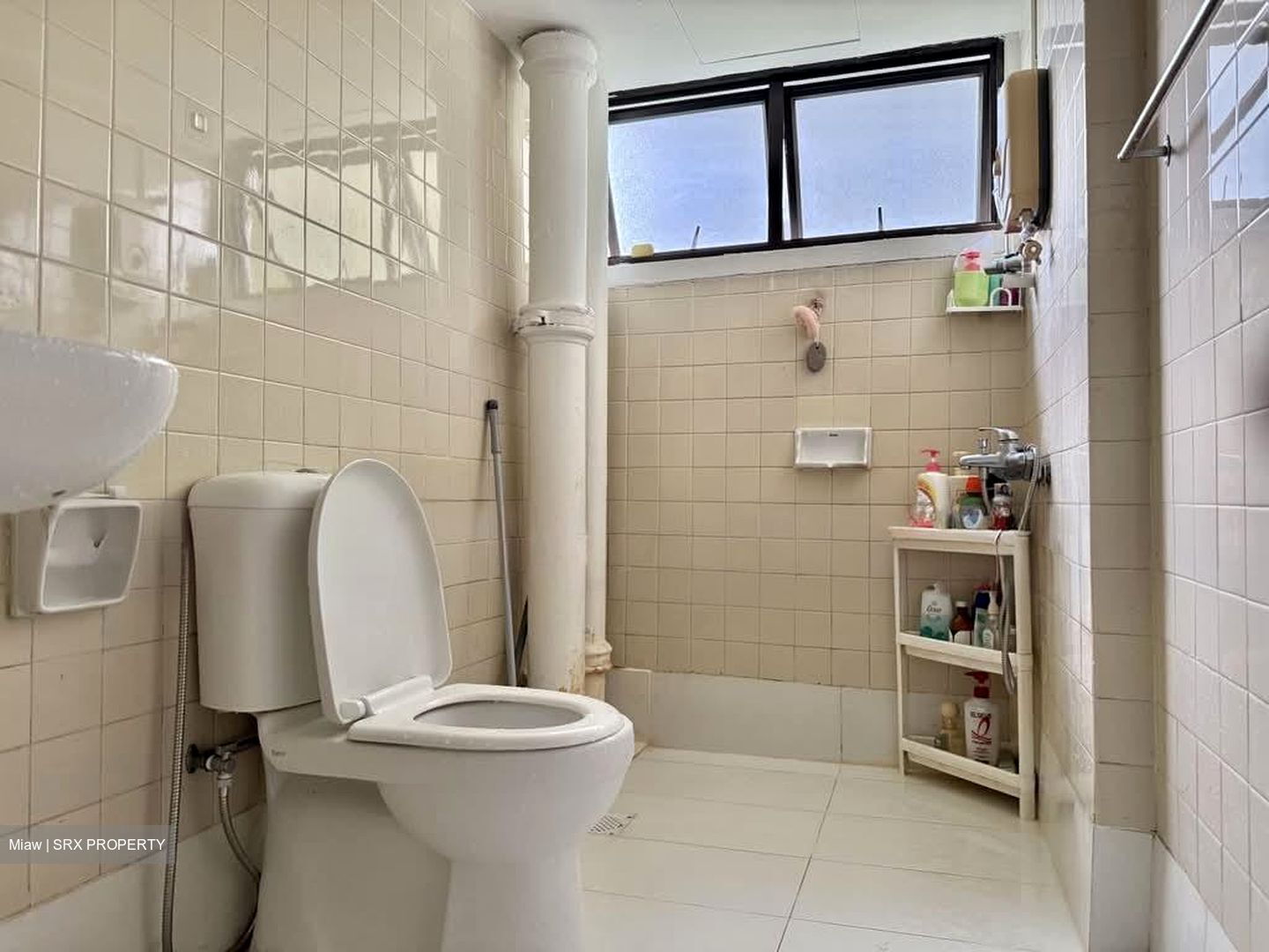 Braddell View (D20), Apartment #583935131